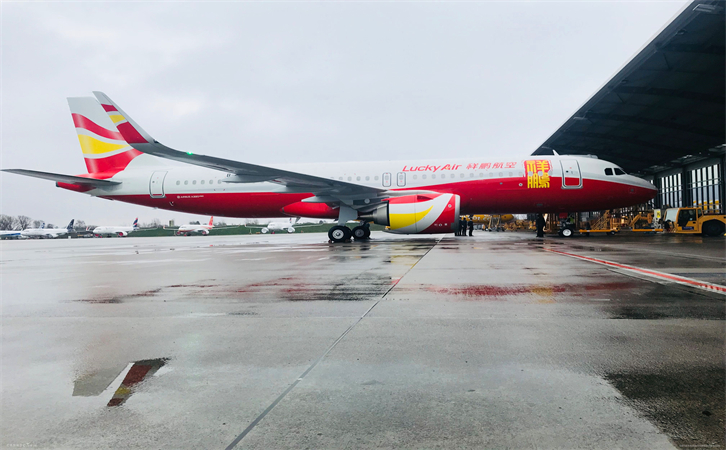 空运水果蔬菜(图2)